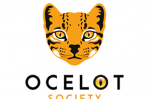 Ocelot