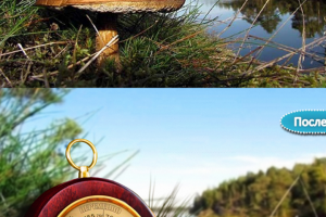 Фотомонтаж