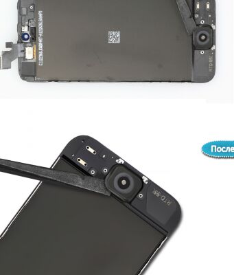 img4059614.png