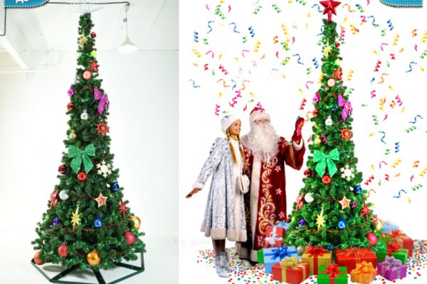 img4059533.png