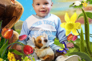 Работа 4059567