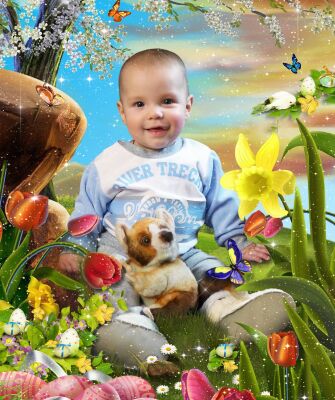 img4059567.png