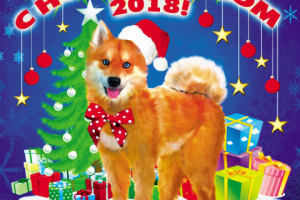 Работа 4059722