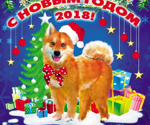 img4059722.png