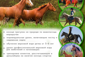 Работа 4059684