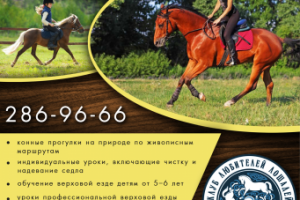 Работа 4059683