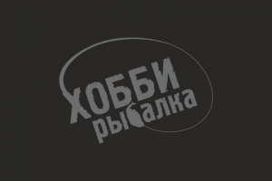 Работа 3640902