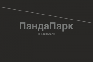 Работа 3574683