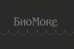 Работа 3322506