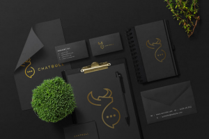 Разработка фирменного стиля для менеджмента