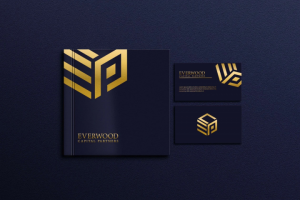 Разработка фирменного стиля для игровой переферии