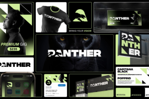 Разработка фирменного стиля для бренда