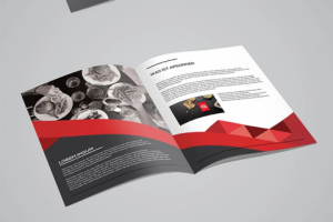 Разработка дизайна журнала для компании