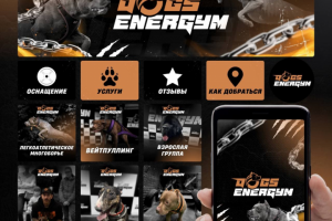 Разработка дизайна для группы ВКонтакте