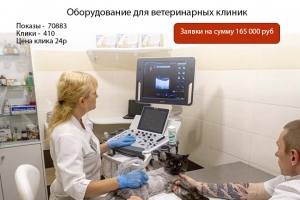 Продвижение сайта по продаже оборудования для ветклиник