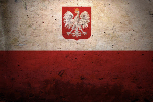 Перевод с русского на польский