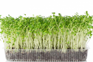 Работа 4107353