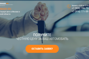 Статьи про выкуп автомобилей разных марок (30 статей).