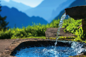 Тексты для рекламного буклета