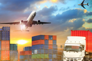 Услуги и сервисы Damu Logistics