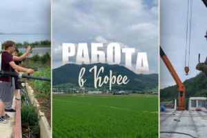 Продающие тексты для лендинга на тематику - работа в Корее.