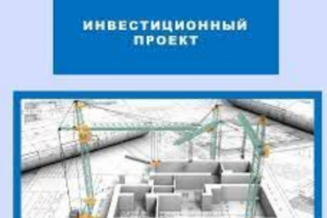 Текст для презентации инвестиционного проекта.