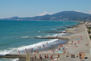 Земельные участки в Сочи