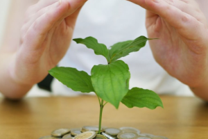 Страхи инвестиций