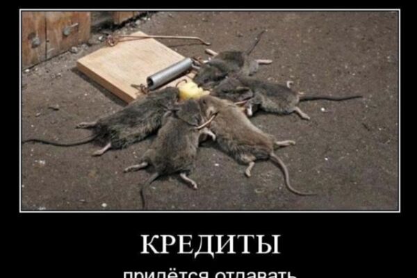 img4063899.png