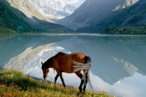 Рерайт текста туристической тематики