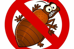 Уничтожение клопов в Калуге