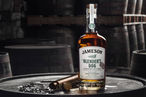 Статья о франшизе