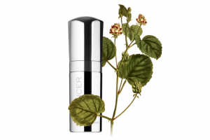 Как работает бакучиол