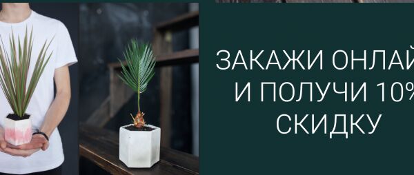 img4118546.png