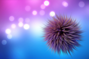 Пушистый шар