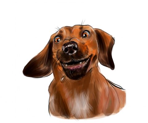 img4394931.png