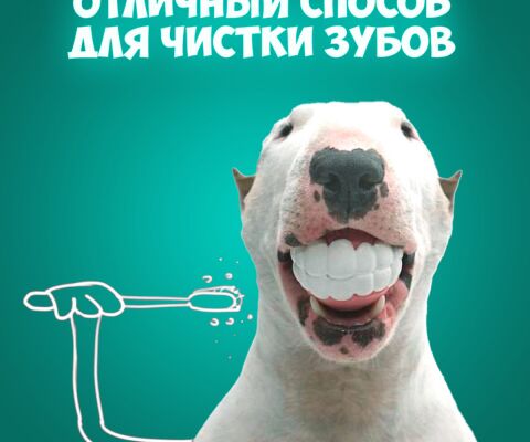 img4444873.png