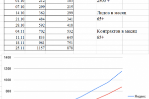 СЕО продвижение сайта Тематика "Доставка Цветов" Воронеж