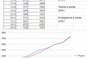 СЕО продвижение сайта Тематика "Натуральная Косметика" Астана