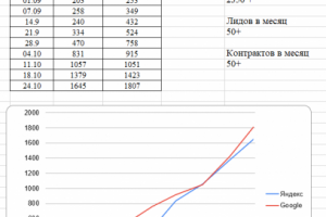 СЕО продвижение сайта Тематика "Веселящий Газ" Москва