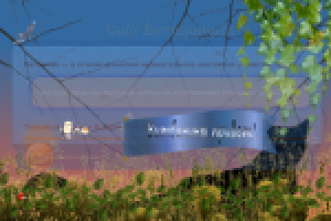 Сайт с анимацией на Javascript