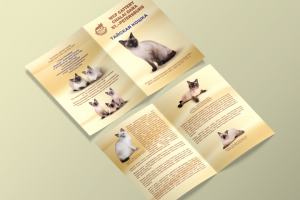 Буклет "Chalai Dara"