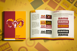 Брендбук "VVC"