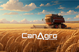 Логотип - CanArgo