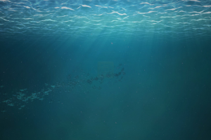 Intro для канала Timetocatch.ru/ Карпфишинг