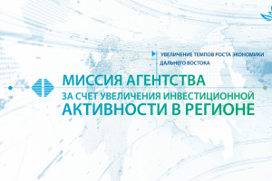 Инфографика для экранов на ВЭФ 2018