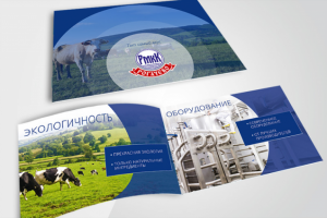 Маркетинг-кит для "Рогачевский МКК"