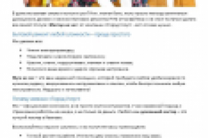 Продающий текст муж на час