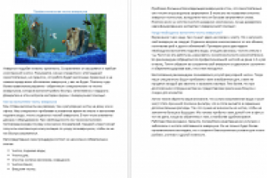 Статья о профессиональной чистке аквариума