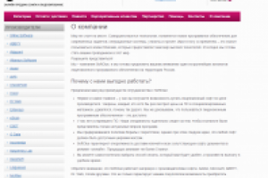 Статья "О компании" для сайта по продаже софта